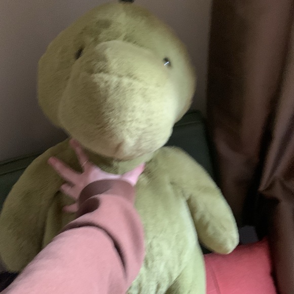 Large, dinosaur, stuffed animal - Picture 2 of 3